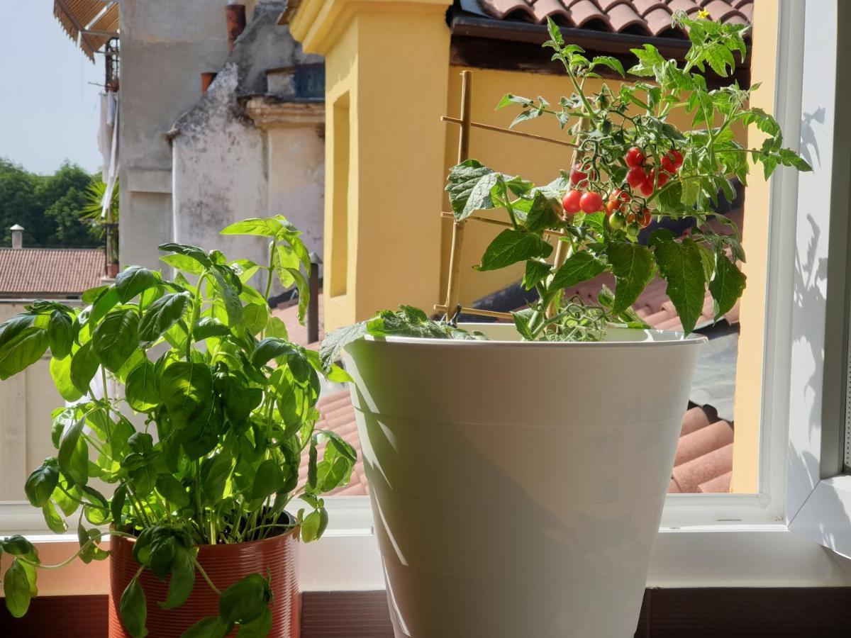 Romantica Mansarda Nel Cuore Di Apartment Turin