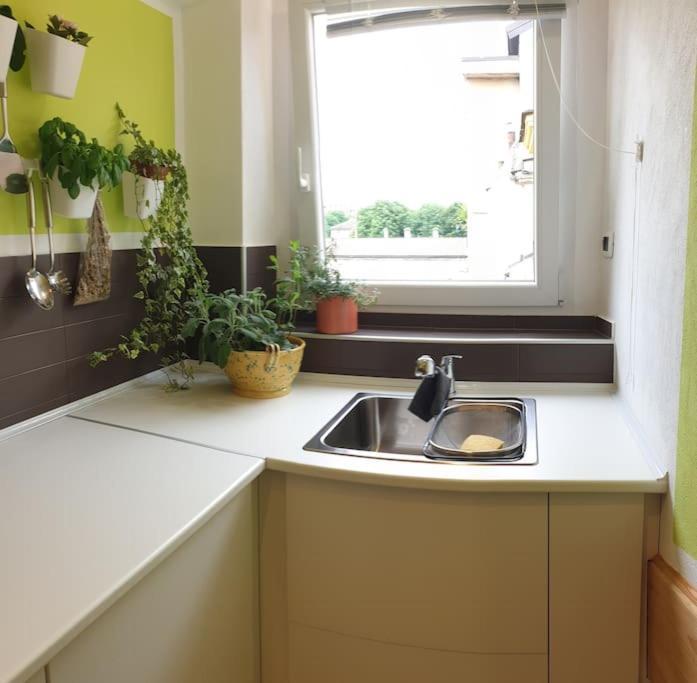 Romantica Mansarda Nel Cuore Di Apartment Turin